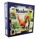 بازی فکری مدل Meadow - چمنزار