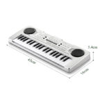 اسباب بازی ارگ آموزشی مدل BigFun کد BF-430D