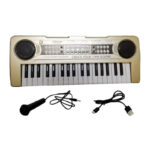 اسباب بازی ارگ آموزشی مدل BigFun کد BF-430D