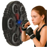 صفحه بوکس دیواری Boxing Target مدل 6 هدف