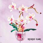 لگو طرح گل ارکیده مدل Orchid In Goblet کد 3012