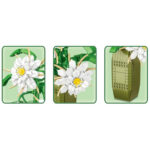 لگو گل اپی فیلوم مدل Epiphyllum کد 9104A، تعداد 571 قطعه، همراه با گلدان