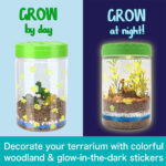 اسباب بازی باغ دایناسورهامدل Dinosaur Garden کد 802