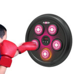 صفحه بوکس دیواری Boxing Machine مدل 5 هدف