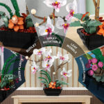 لگو گل ارکیده با گلدان مدل Plante کد 9067، تعداد 581 قطعه