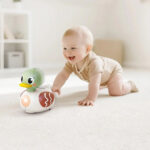 اسباب بازی اردک موزیکال برند هولا مدل Duck کد HE9975